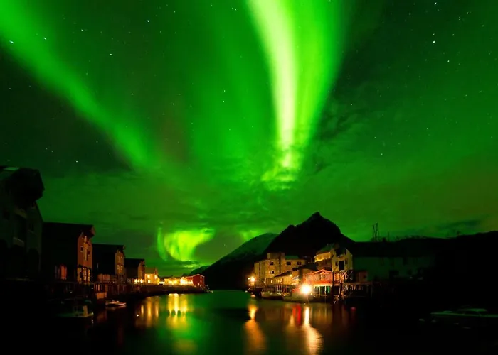 Appartement, Brygge * Nyksund